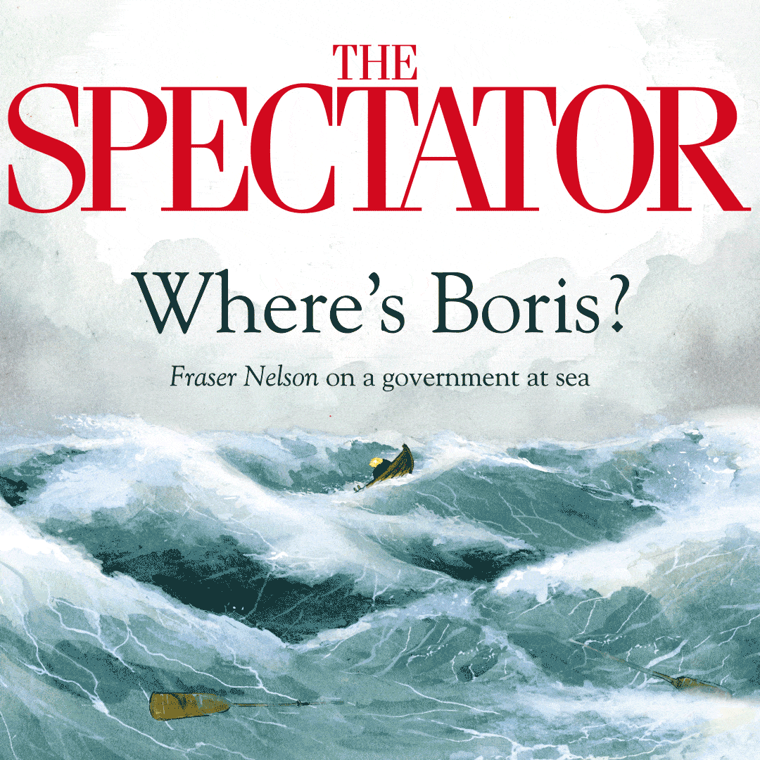 Gif_WheresBoris_3s_BrittanyHouston